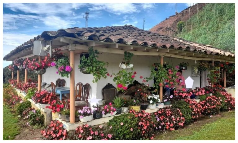 Casas de Campo Bonitas: La Elegancia en la Naturaleza - DIY CONSEJOS
